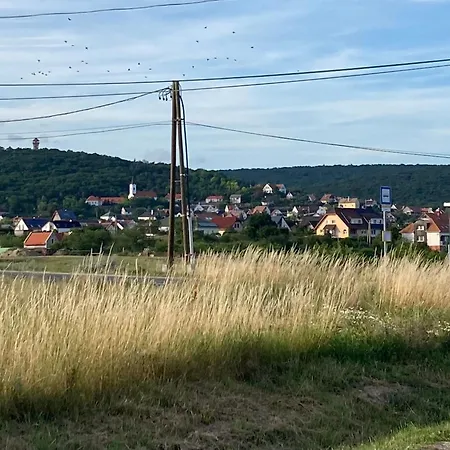 Ancsi By Interhome *